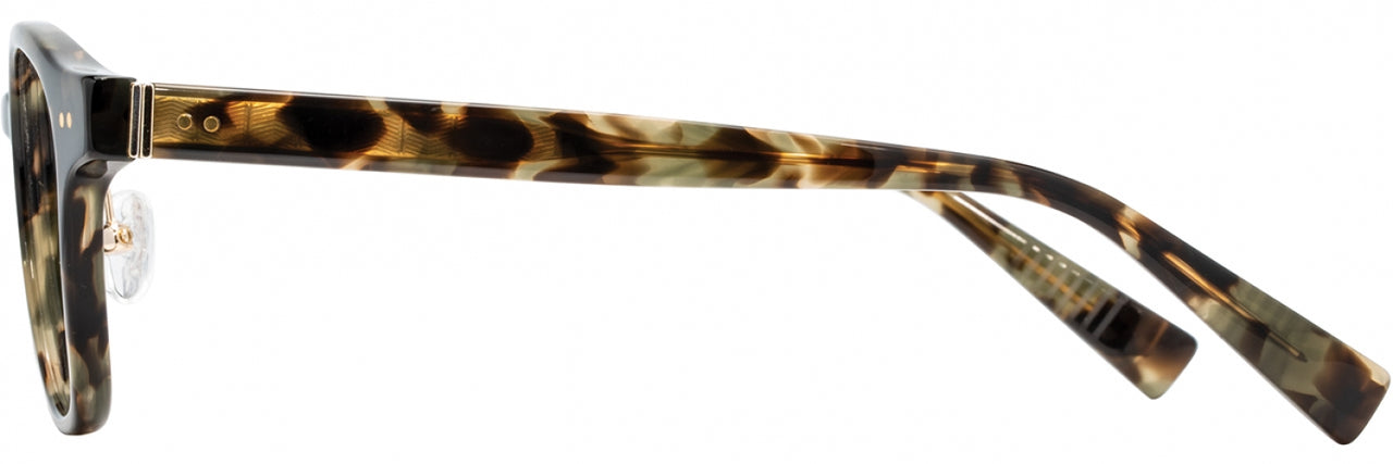 1 - Olive Tortoise