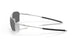 604703 - Silver - Prizm Black Polarized