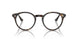 710/M1 - Havana - Photo Clear To Grey/green Quar