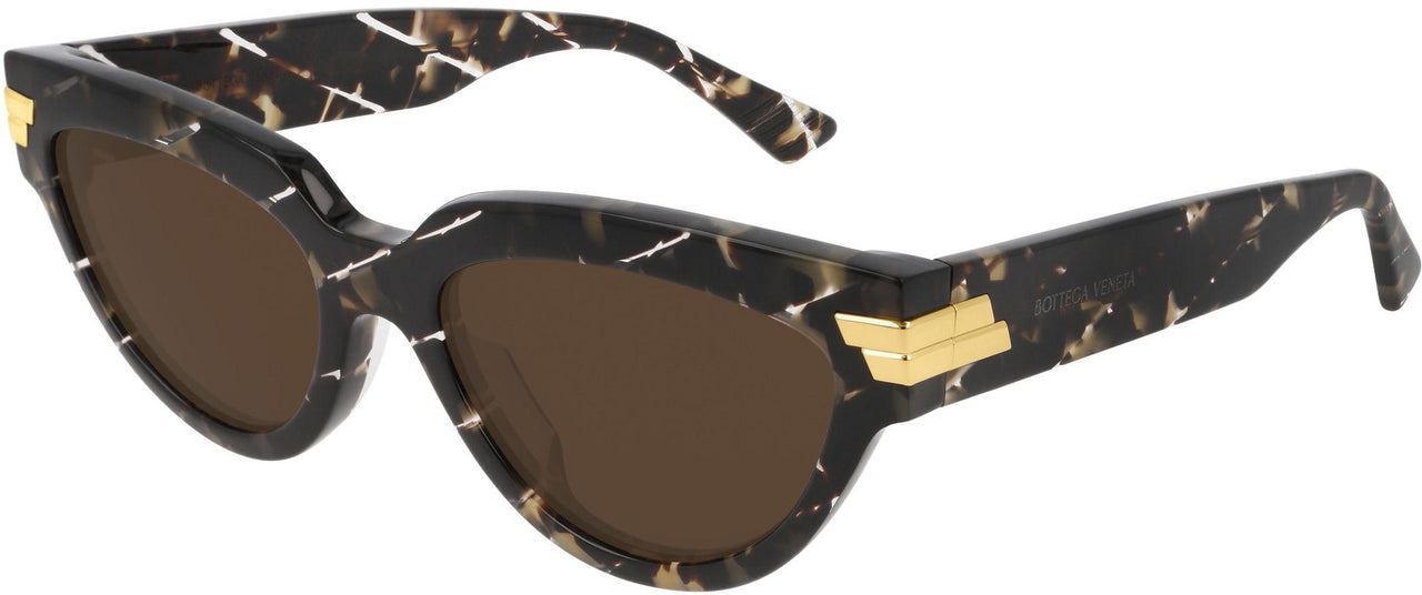 003 - Tortoise/Havana - Brown