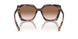 07R0A6 - Tortoise - Brown Gradient