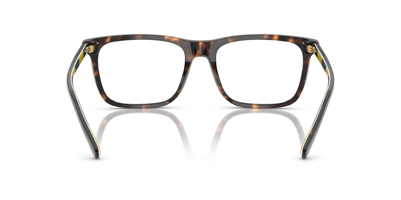 5003 - Tortoise