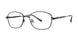 MODERN PERPETUAL Eyeglasses
