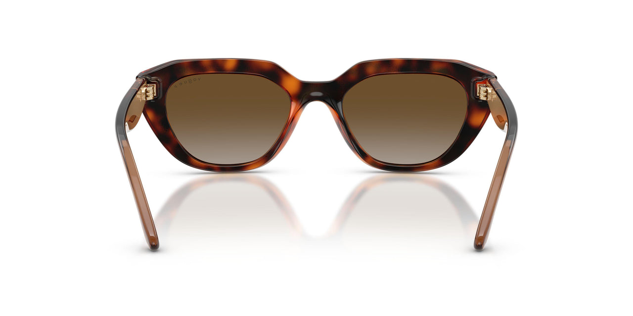 W656T5 - Brown - Gradient Brown Polar