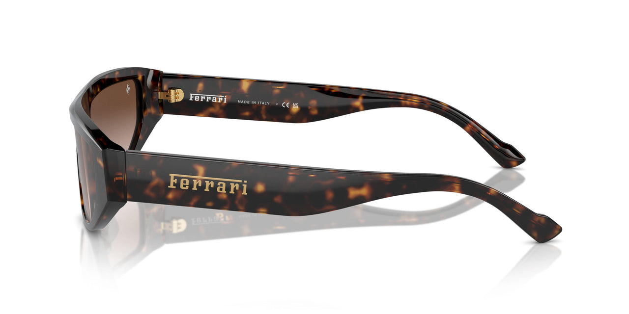 702/13 - Tortoise - Gradient Brown