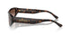 702/13 - Tortoise - Gradient Brown