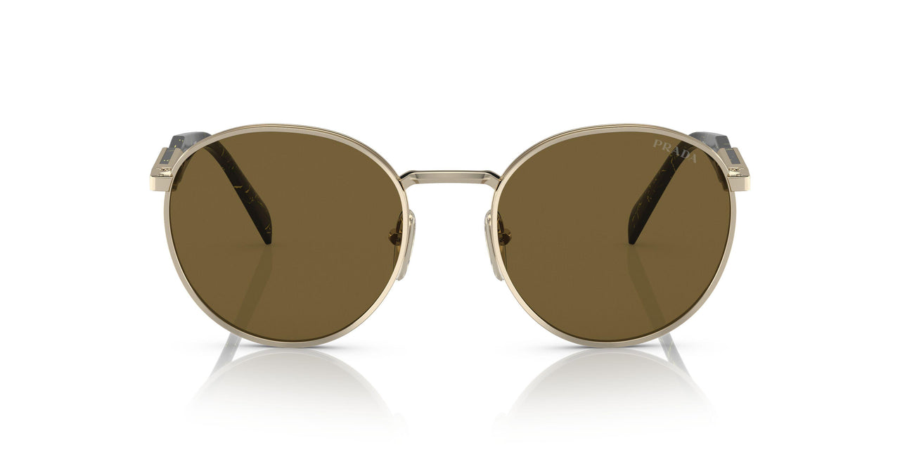 ZVN01T - Gold - Dark Brown