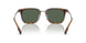 300271 - Brown - Dark Green