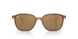 663693 - Brown - Light Brown Mirror Gold