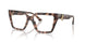 5070 - Tortoise