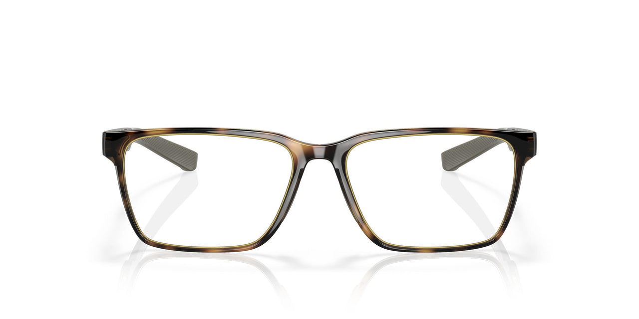 801702 - Tortoise