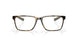 801702 - Tortoise