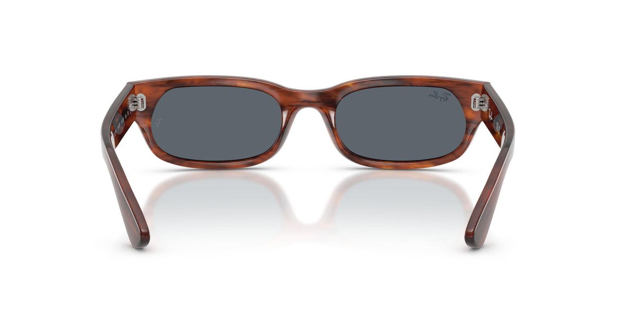 954/R5 - Brown - Blue