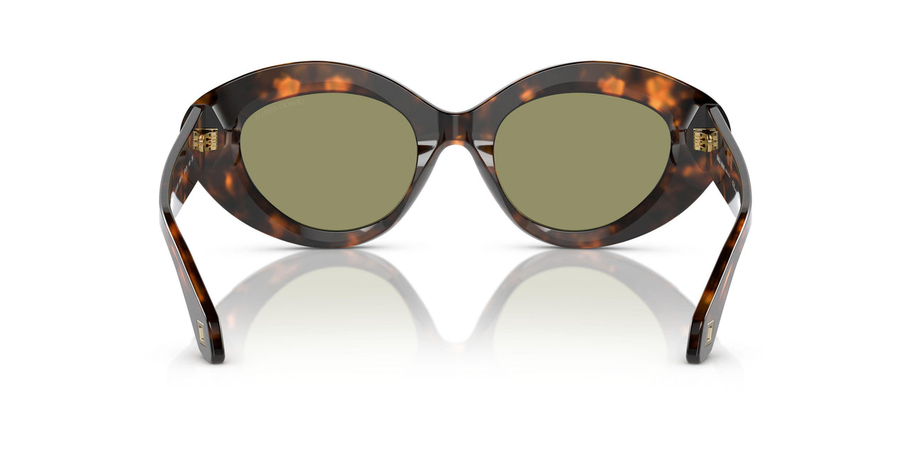 599314 - Tortoise - Green