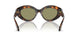 599314 - Tortoise - Green
