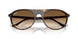 902/51 - Tortoise - Clear Gradient Brown