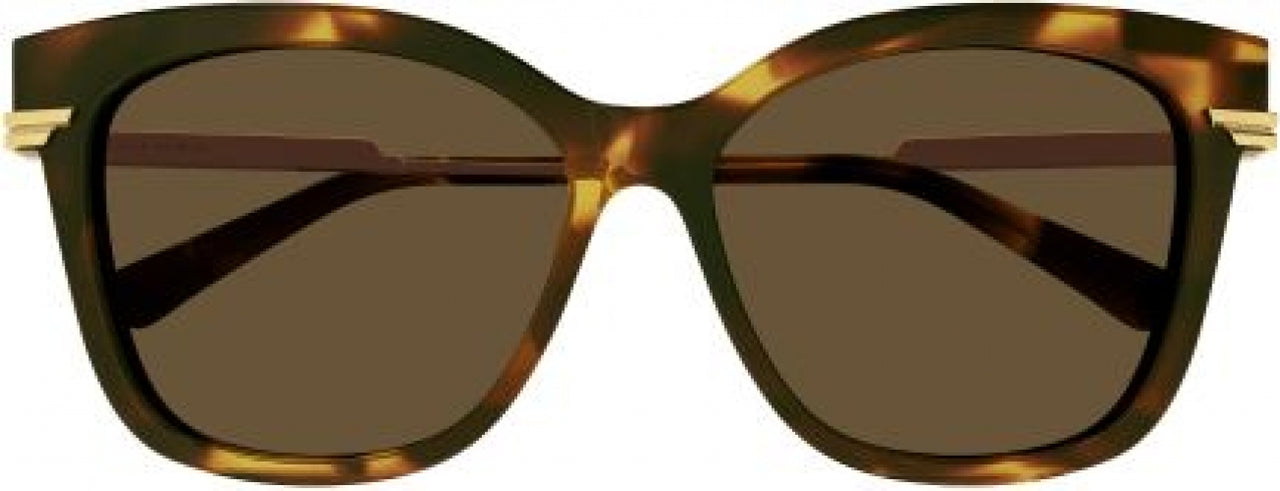 002 - Havana/Gold - Brown
