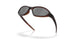 953602 - Brown - Prizm Black