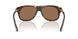 502/73 - Tortoise - Dark Brown