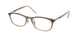Coach 6191BD Eyeglasses