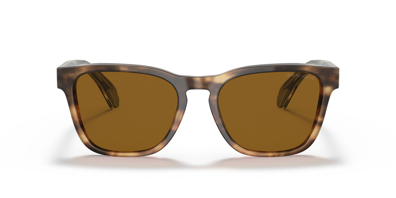594233 - Brown - Brown