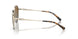 1014T5 - Gold - Brown Gradient Polar