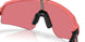 946538 - Pink - Prizm Trail Torch