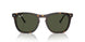 902/31 - Tortoise - Green