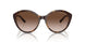 821313 - Tortoise - Gradient Brown