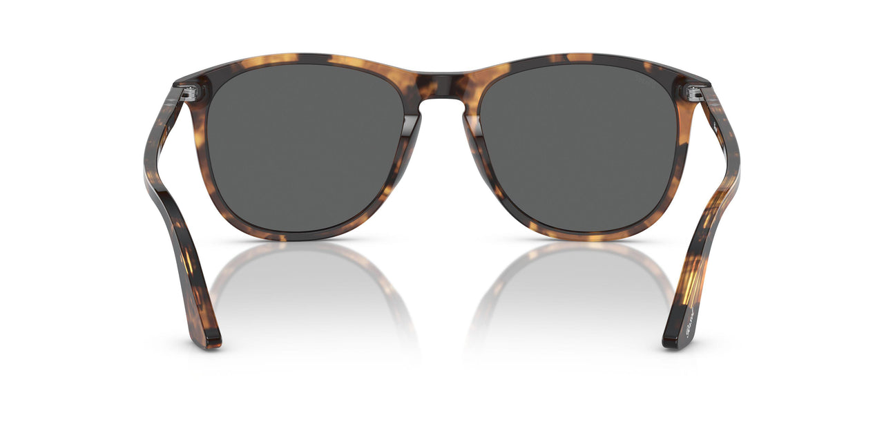 1102B1 - Tortoise - Polar Black