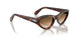 24/51 - Tortoise - Clear Gradient Brown