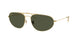 Ray-Ban 3945 Sunglasses