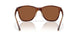 912704 - Tortoise - Copper