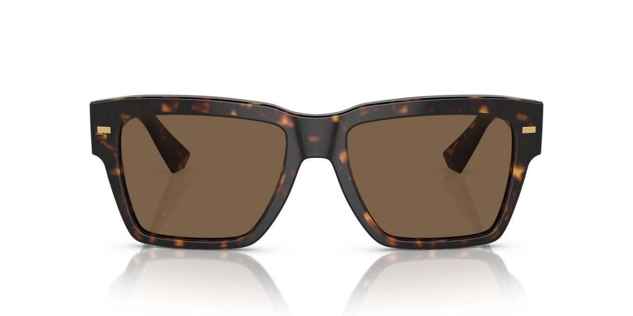 502/73 - Tortoise - Dark Brown