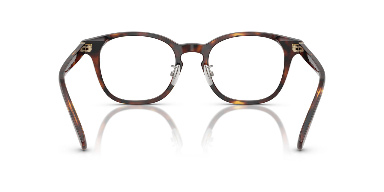 6137 - Tortoise