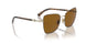 507883 - Havana - Polar Dark Brown