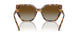 1004T5 - Tortoise - Brown Gradient