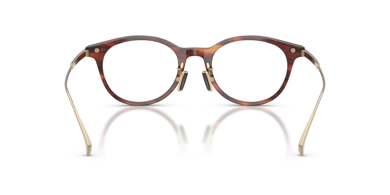 3034 - Tortoise