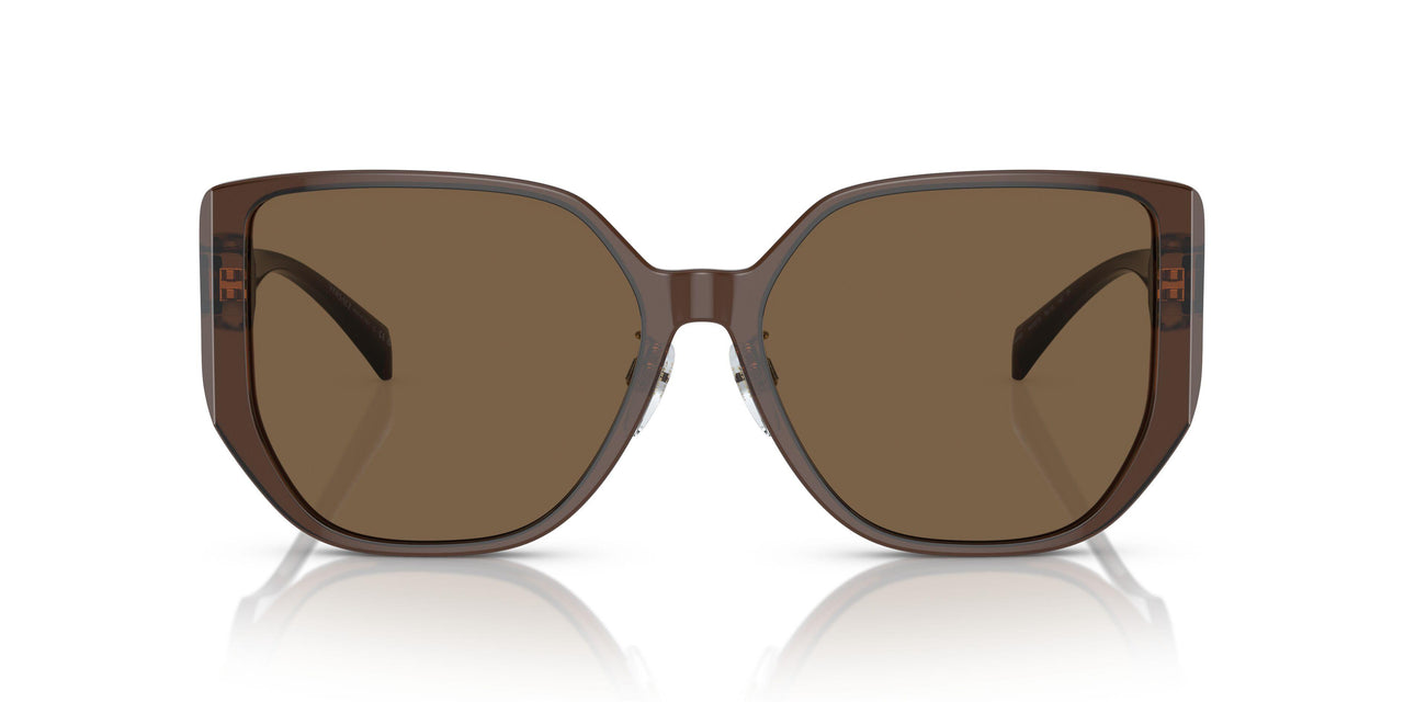 541673 - Brown - Dark Brown