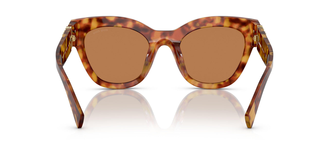 4BW2Z1 - Tortoise - Brown