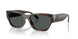 Ralph Lauren 8240U Sunglasses
