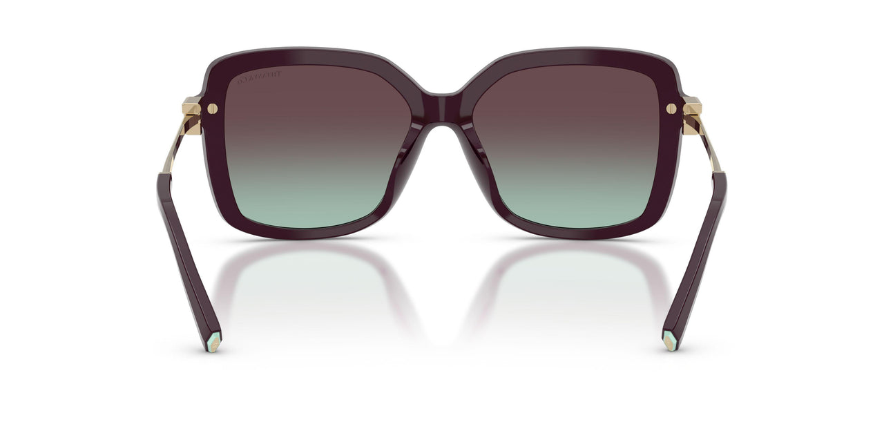 8427V7 - Black - Azure/violet