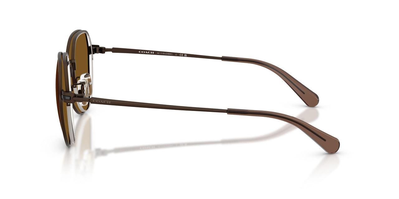 947183 - Brown - Brown Solid Polar