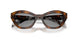 20D50Q - Havana - Grey
