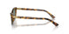 607871 - Tortoise - Dark Green