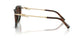 84425D - Tortoise - Azure Gradient Brown