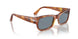 96/56 - Brown - Light Blue