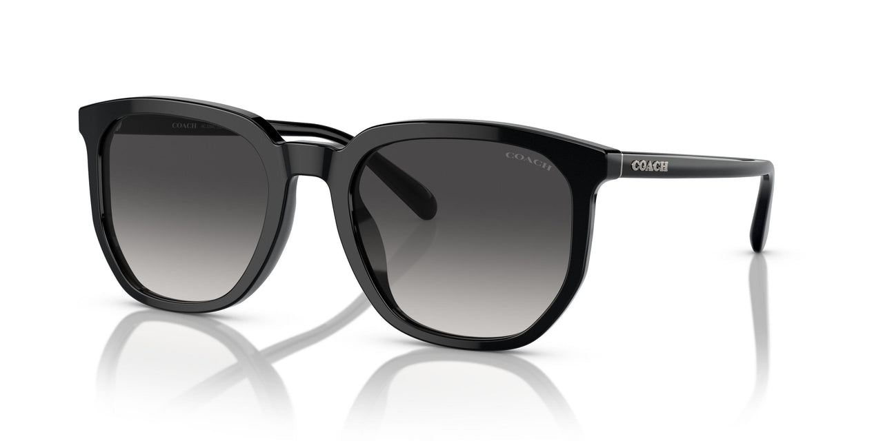 50028G - Black - Grey Gradient