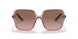 288314 - Pink - Violet Gradient Brown