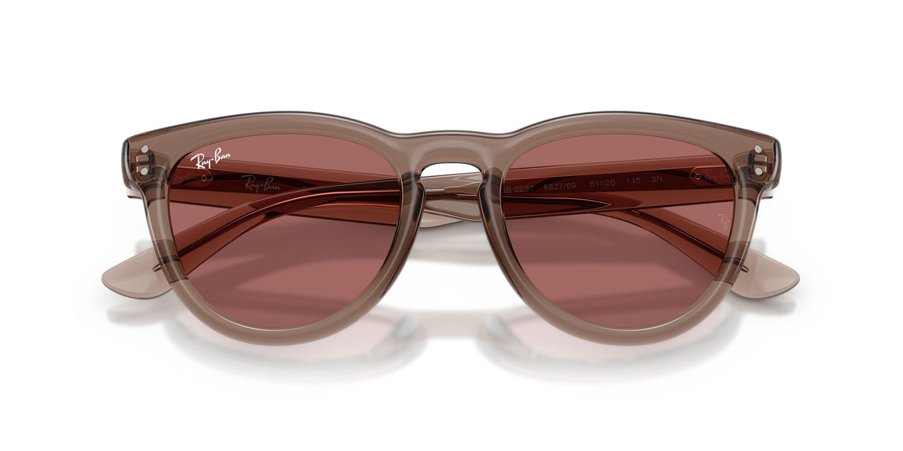 682769 - Brown - Dark Violet